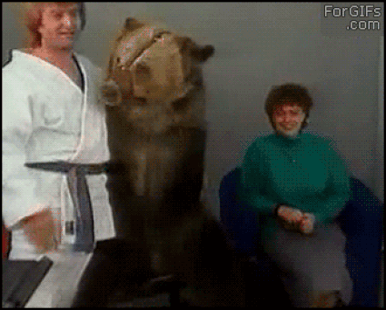 Lady Attacked by Bear AND Karate Teacher!