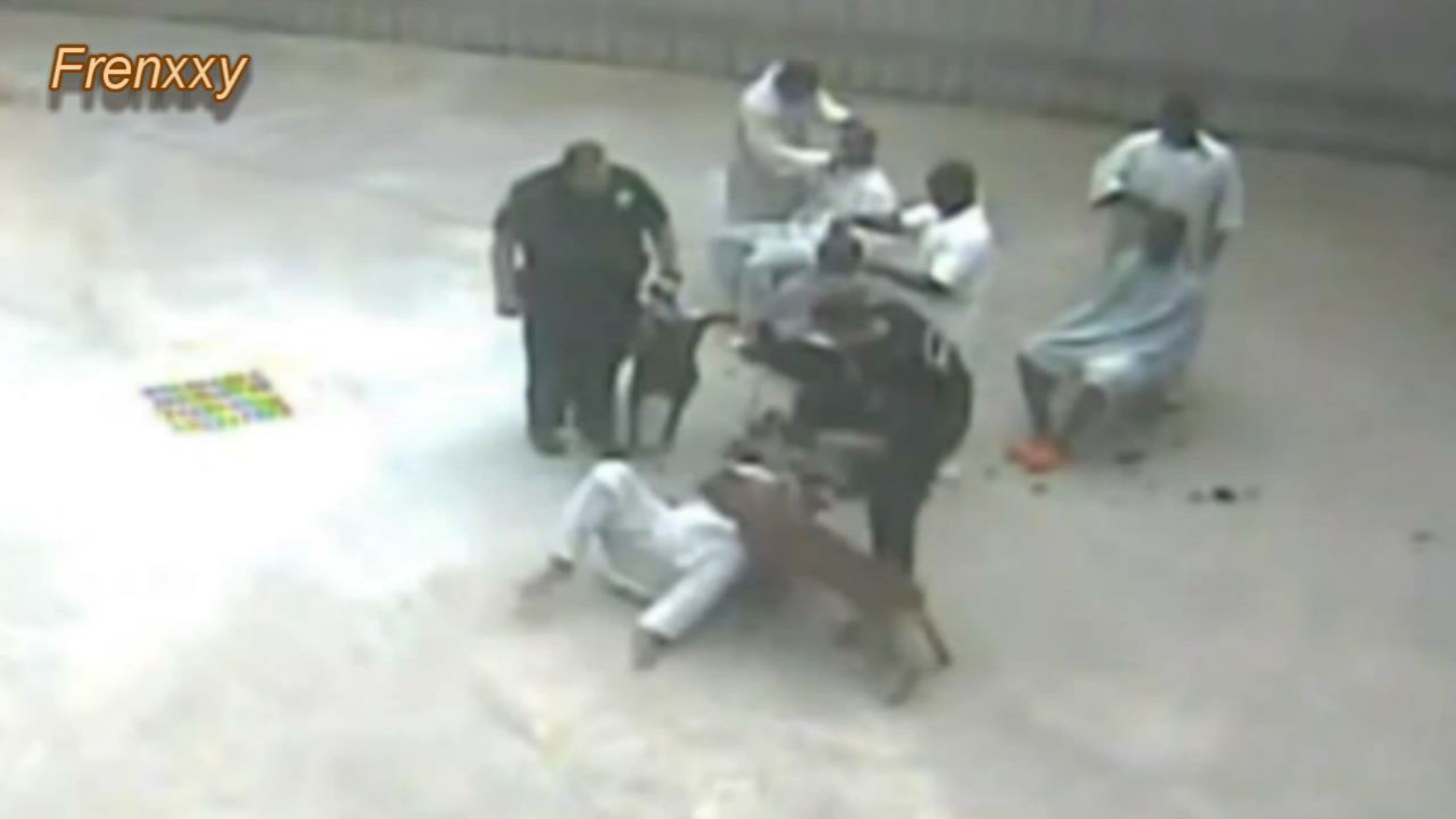 Caught On Tape: Inmate Kicked Stomped And Attacked By Police Dog