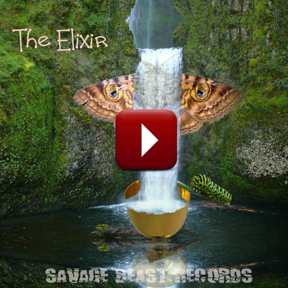 Got Beats? Not Like These!