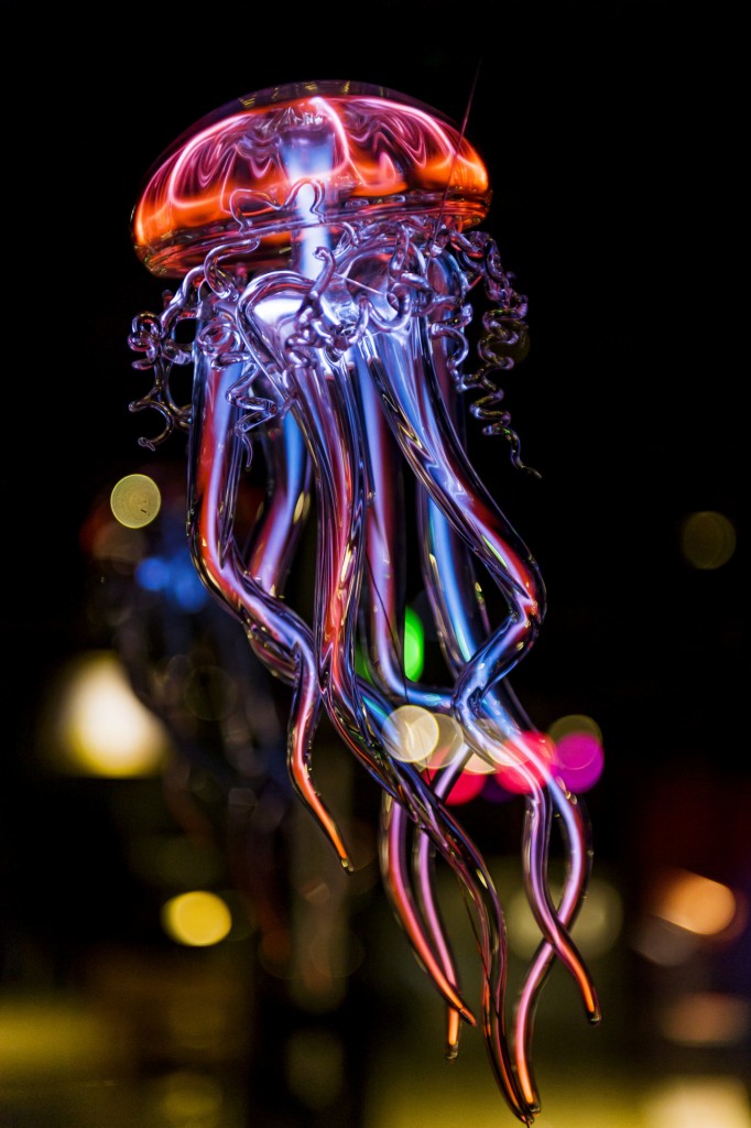 Neon Jellyfish Photo : Tambako The Jaguar