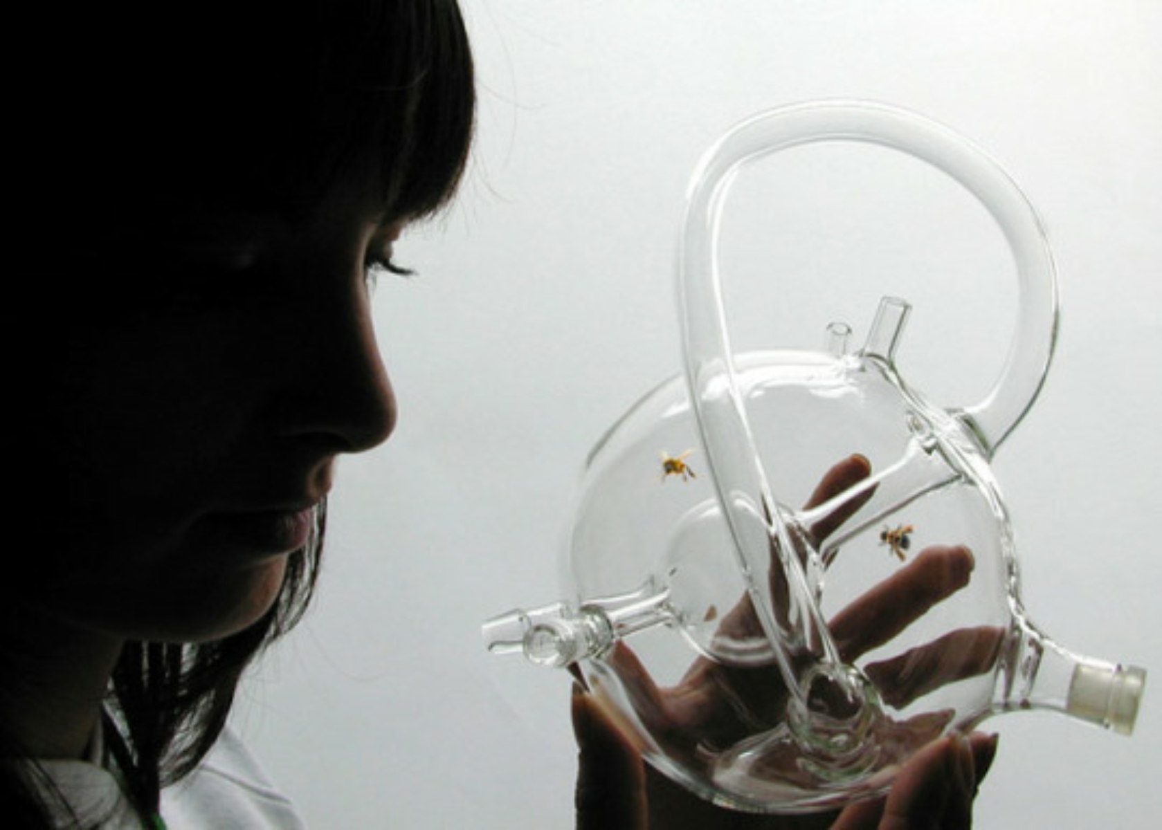 No It's Not a Bong. It's a Bee Biosensor #3