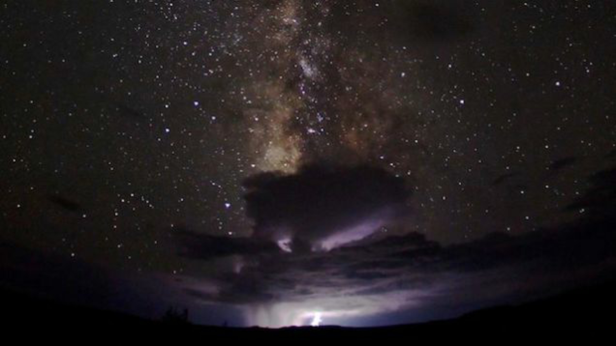 Captured by Bret Webster