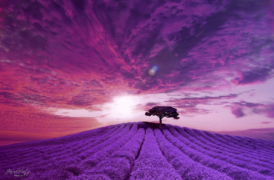 Trees Are Poems That Earth Writes Upon The Sky | Khalil Gibran