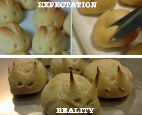 Expectation vs Reality