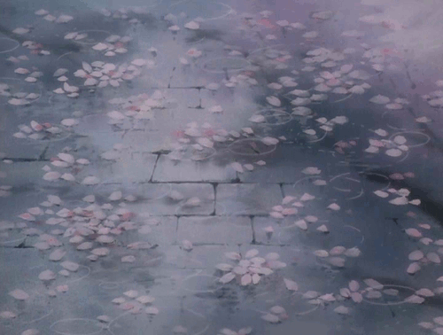 Relaxing Spring Rain